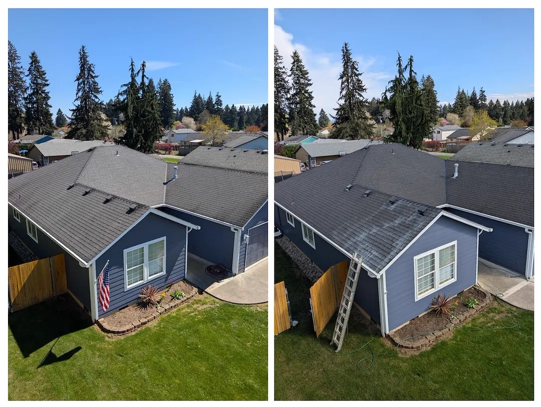Before and after of moss removal and Fresh Roof treatment on a Vancouver WA roof