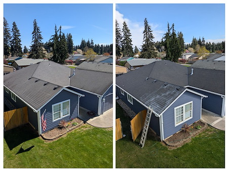 How Roof Rejuvenation Helps Restore Aging Roofs