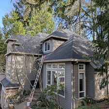 Getting-rid-of-moss-and-cleaning-gutters-in-Portland-Oregon 0