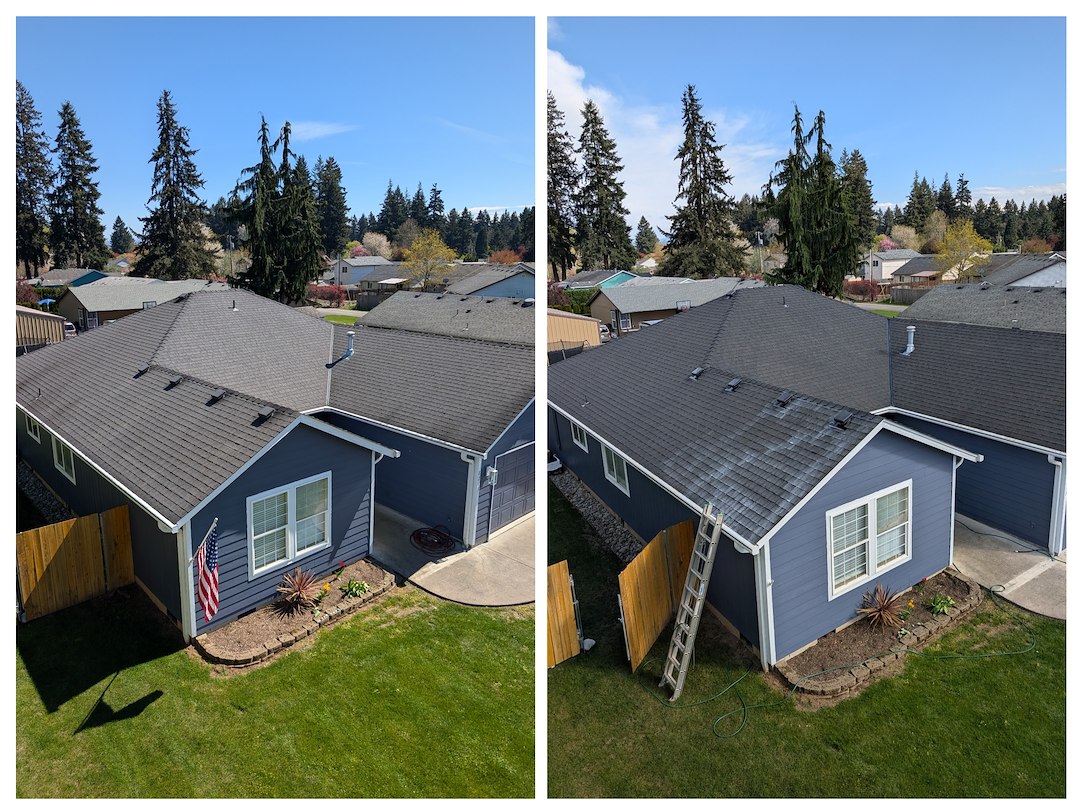 Removing Moss and applying 